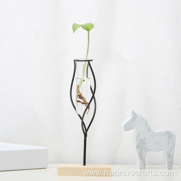 Creative hydroponic plants Plant vase display stand